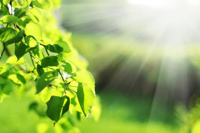 抑郁康复者亲述做对这10件事我把抑郁症驯服成了小宠物