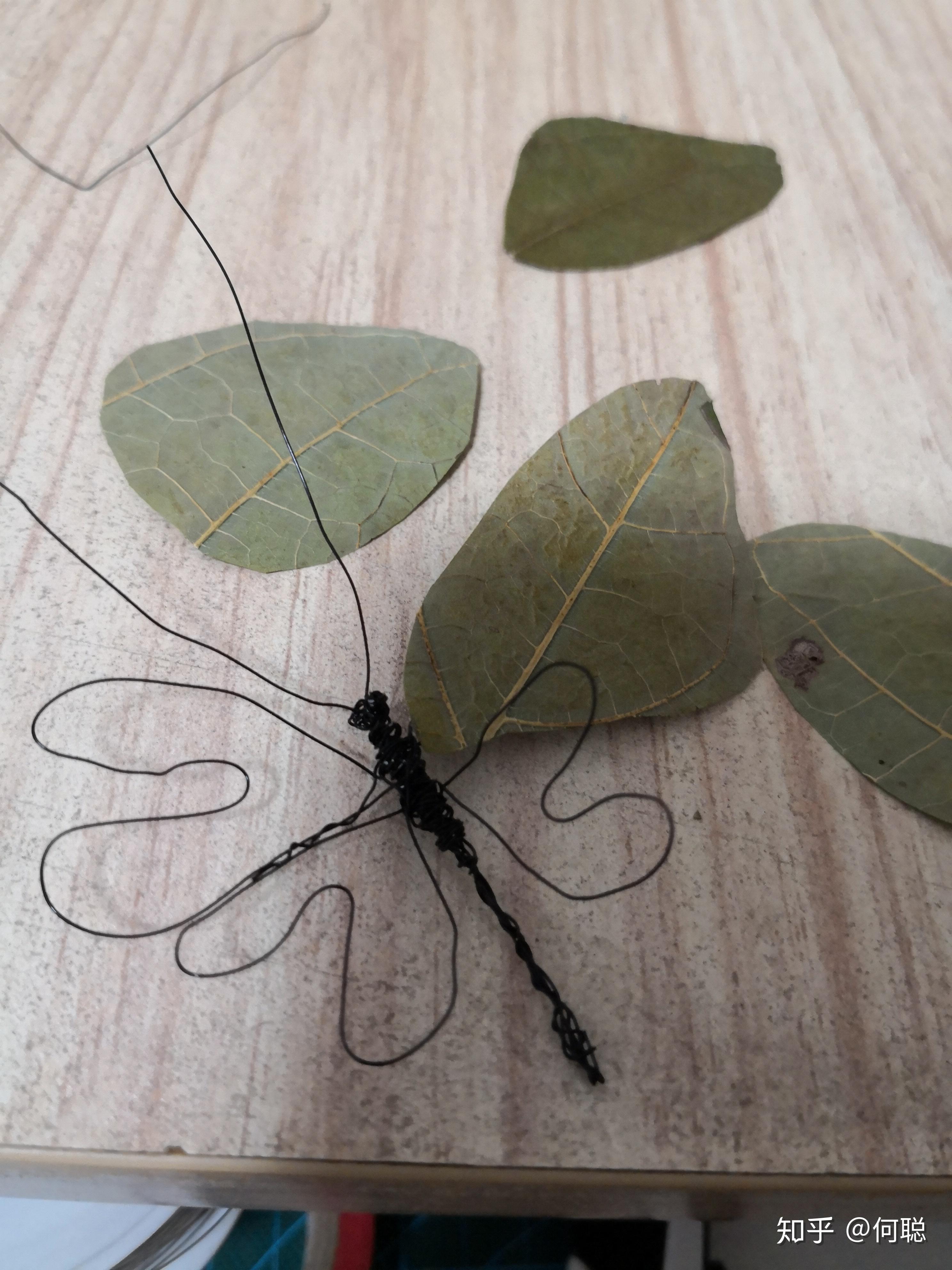 然后用铁丝做一个蝴蝶的身体还有翅膀的支撑,把蝴蝶的翅膀一片一片地