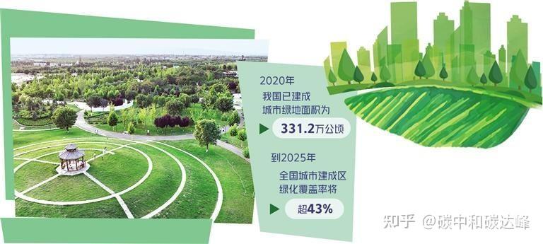 《城市绿地碳汇项目方法学》通过专家评审 - 知乎