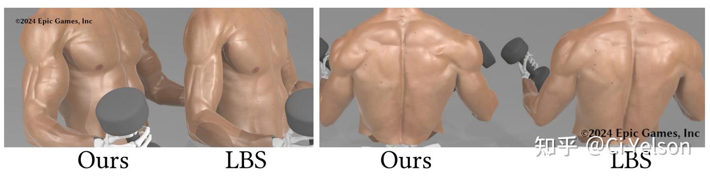 [2025] 肌肉模拟 Muscle Simulation - 知乎