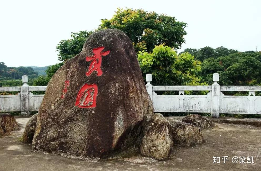 一骑红尘妃子笑高州根子荔枝