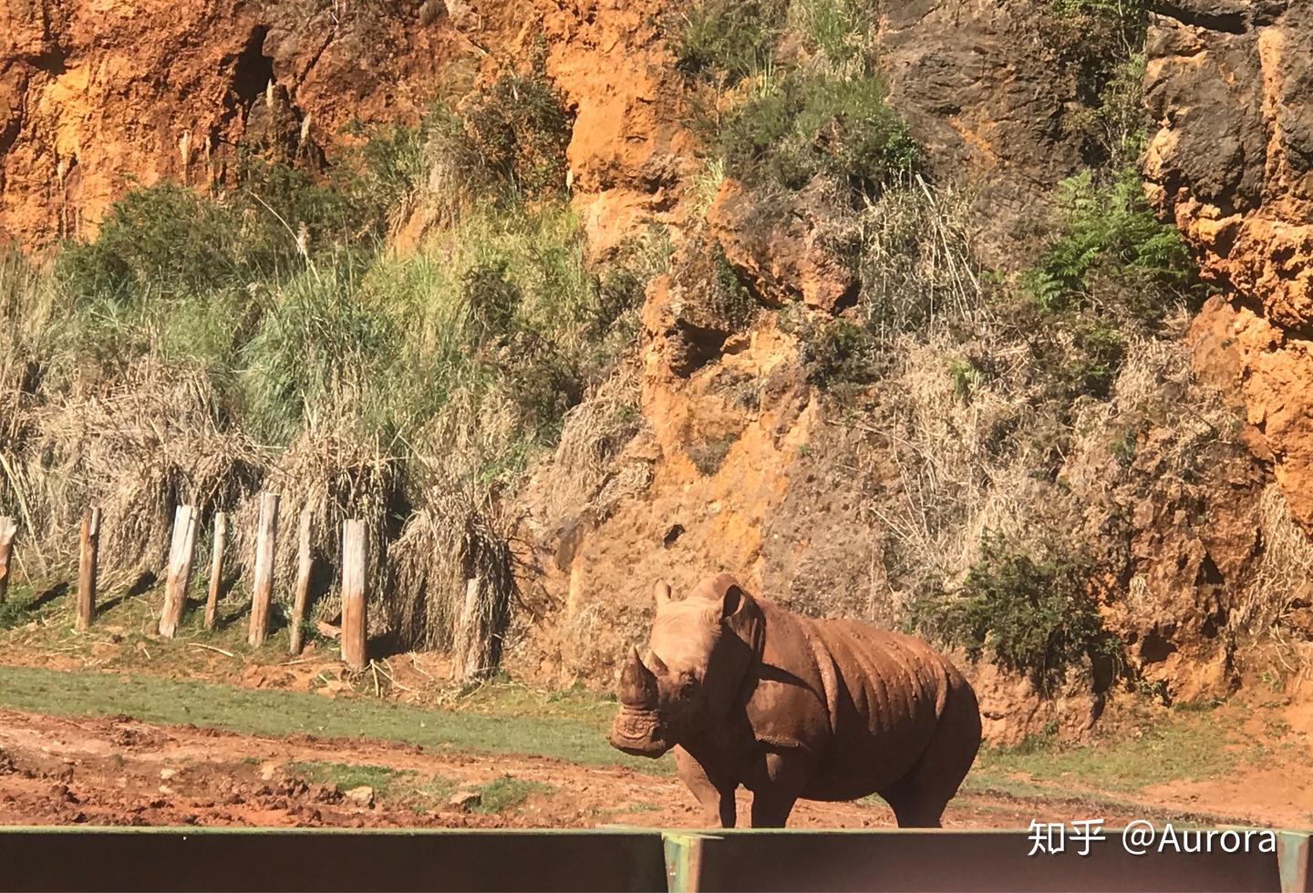 缘西游记之极美的西班牙“银行之都”——海边的桑坦德（Santander） - 知乎