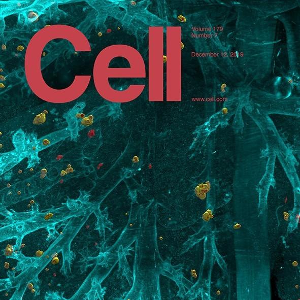 登上Cell封面：一览无余，人类首次看清体内所有癌症转移！ - 知乎