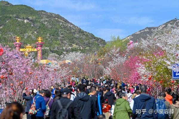 “特种兵”式旅游带来出行新体验 知乎