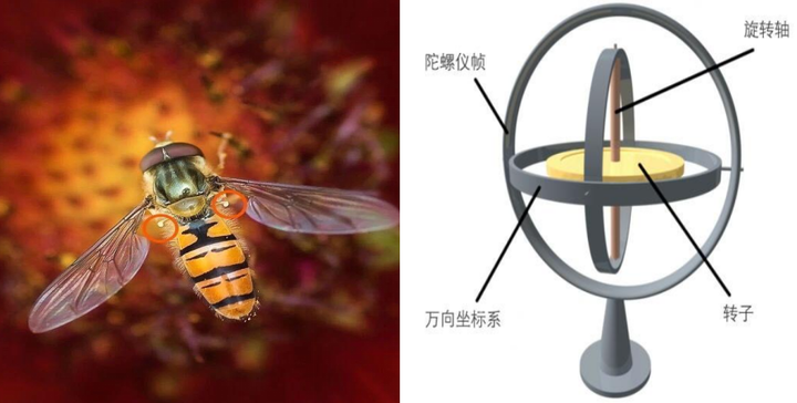 百篇科普系列(285) 仿生发明的概述 - 知乎