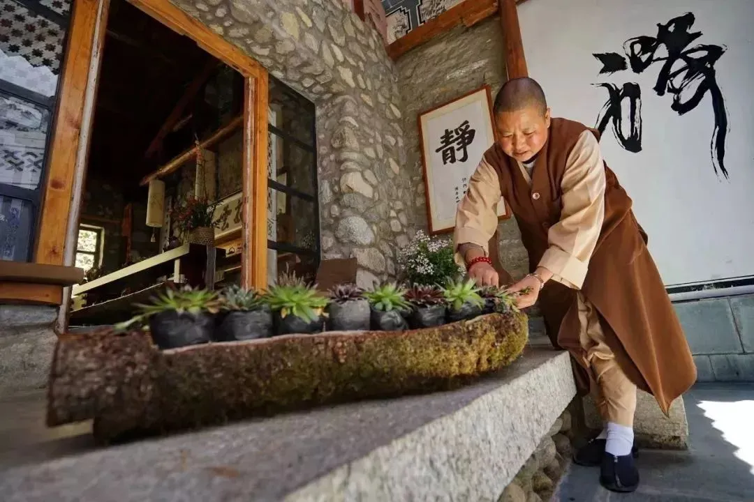 尼姑庵里的花花世界,花花世界里的尼姑庵