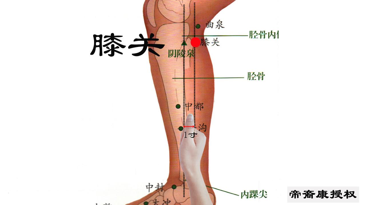 膝膑肿痛难以忍受,只要通过膝关穴就能治疗