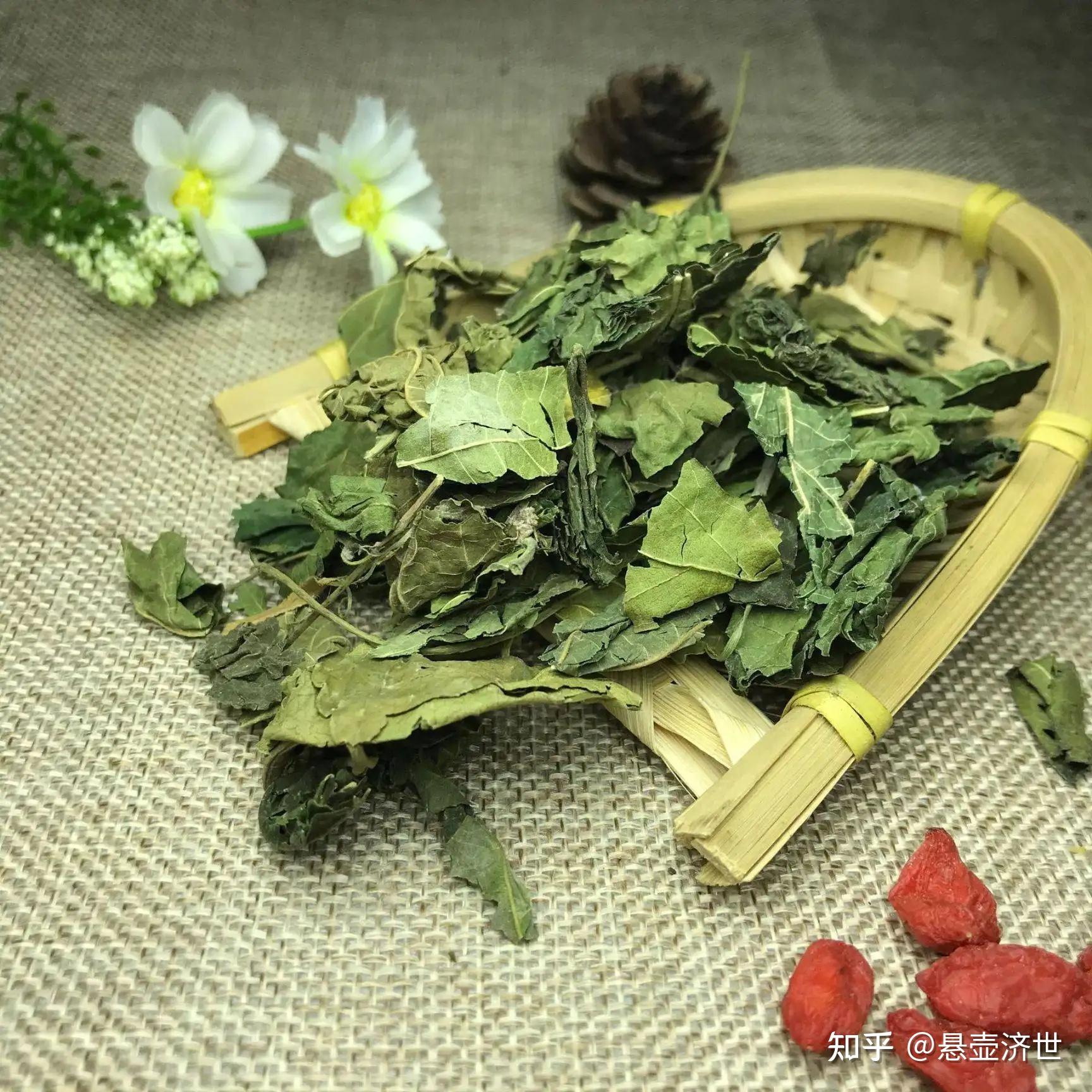 桑叶能治白发?这个方子预防少白头,简单实用又好吃