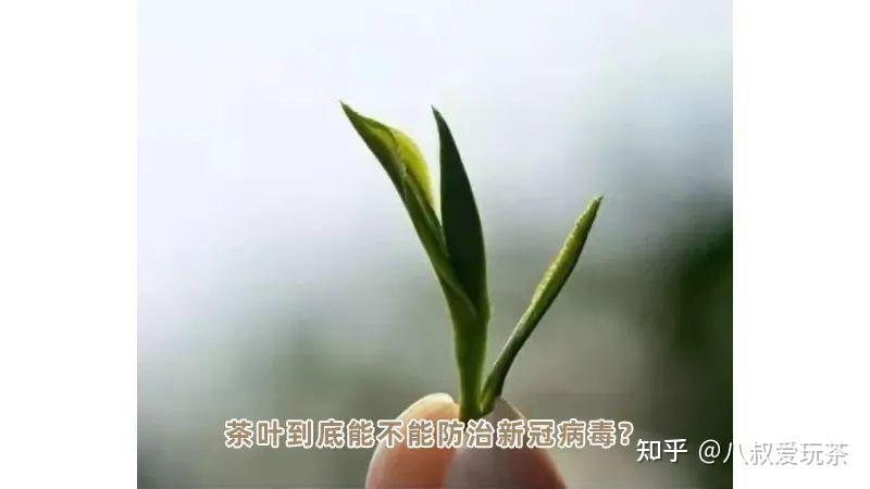 茶水 新冠病毒图片