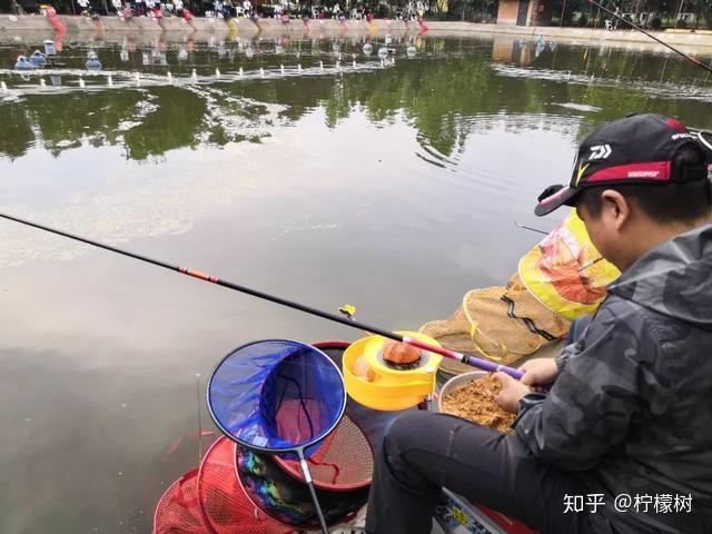 向前看～柠檬树