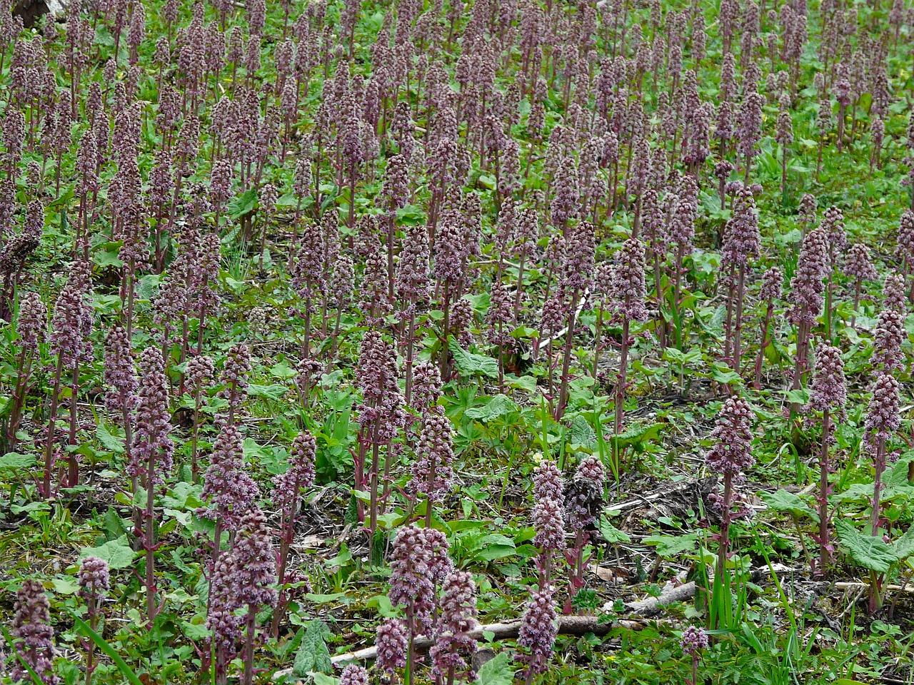 4. 现代物流中心