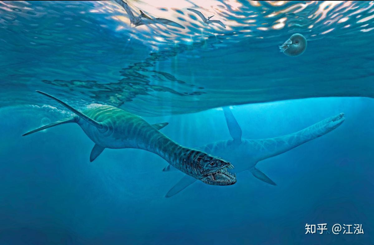 研究发现史前蛇颈龙类拥有堪比抹香鲸的超强潜水能力