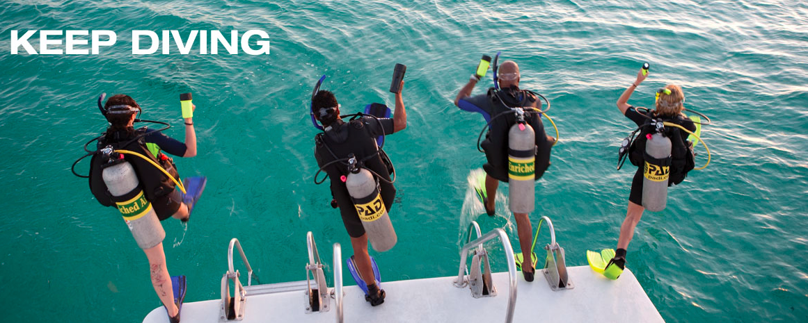 潜水常用英文单词