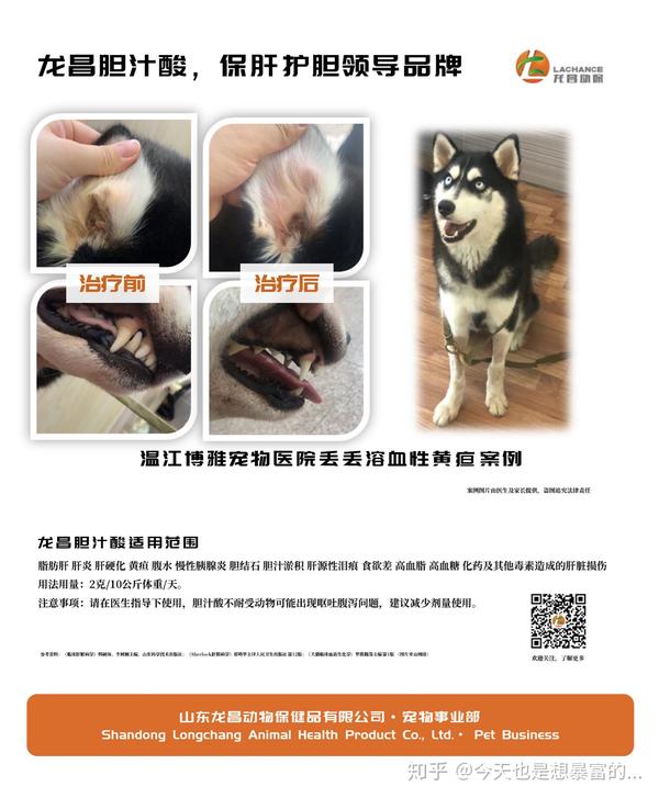 犬猫黄疸 胆汁酸快速去黄 知乎