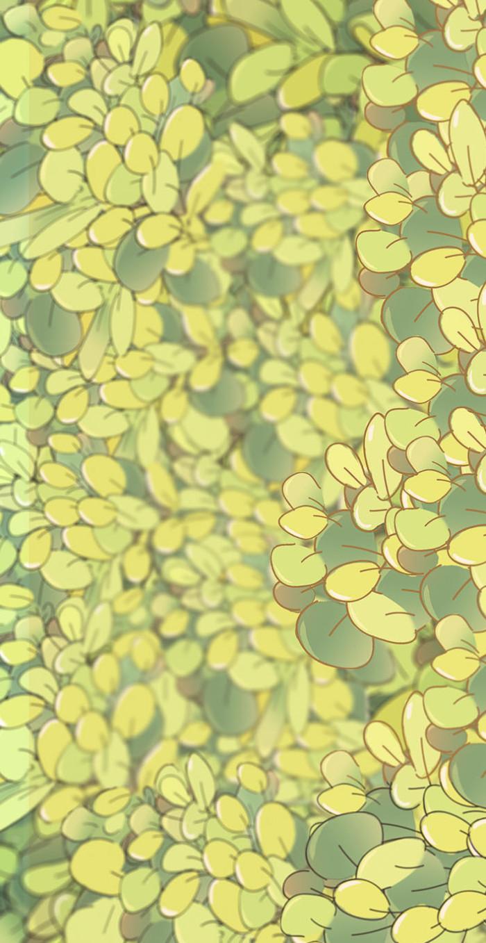 有哪些极富美感的绿色系壁纸?(绿色壁纸唯美小清新)