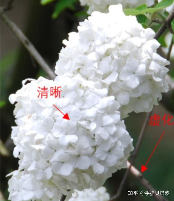 究竟是什么决定了景深和虚化 - 知乎