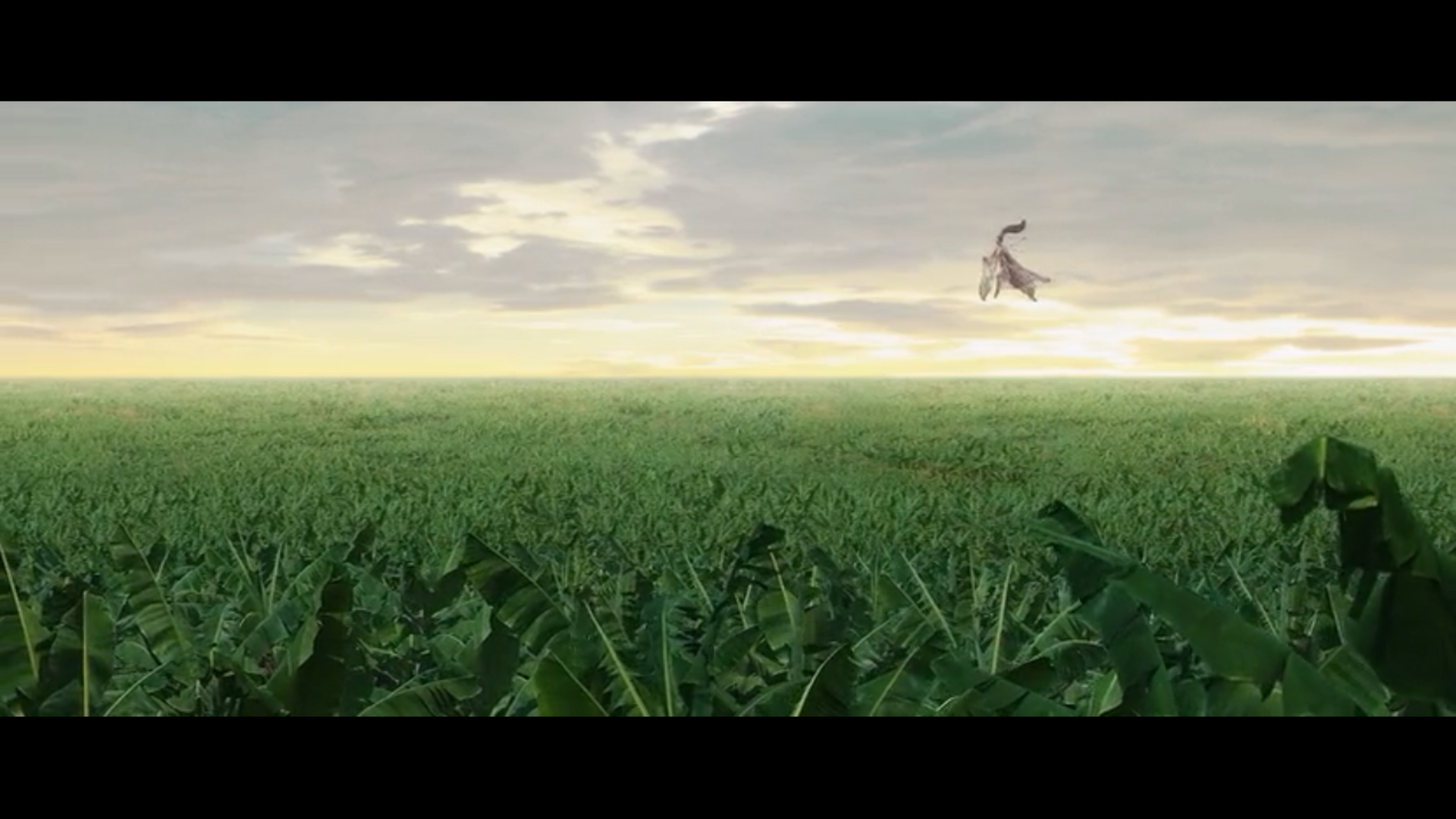 时隔多年重新看无极这电影到底表达什么的啊说认真的