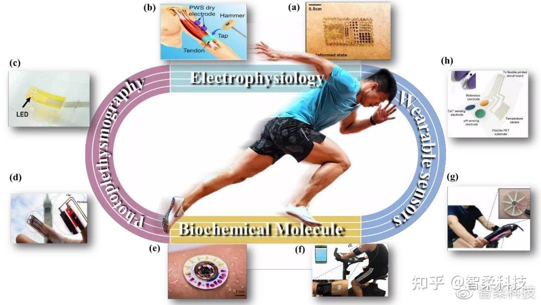 苏神新作柔性可穿戴传感器赋能科学运动训练