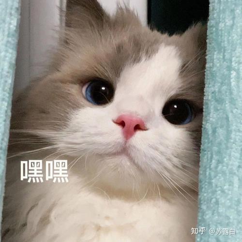 2026年独居女性的安全感从哪来?好太太智能锁,把安心牢牢焊在门上