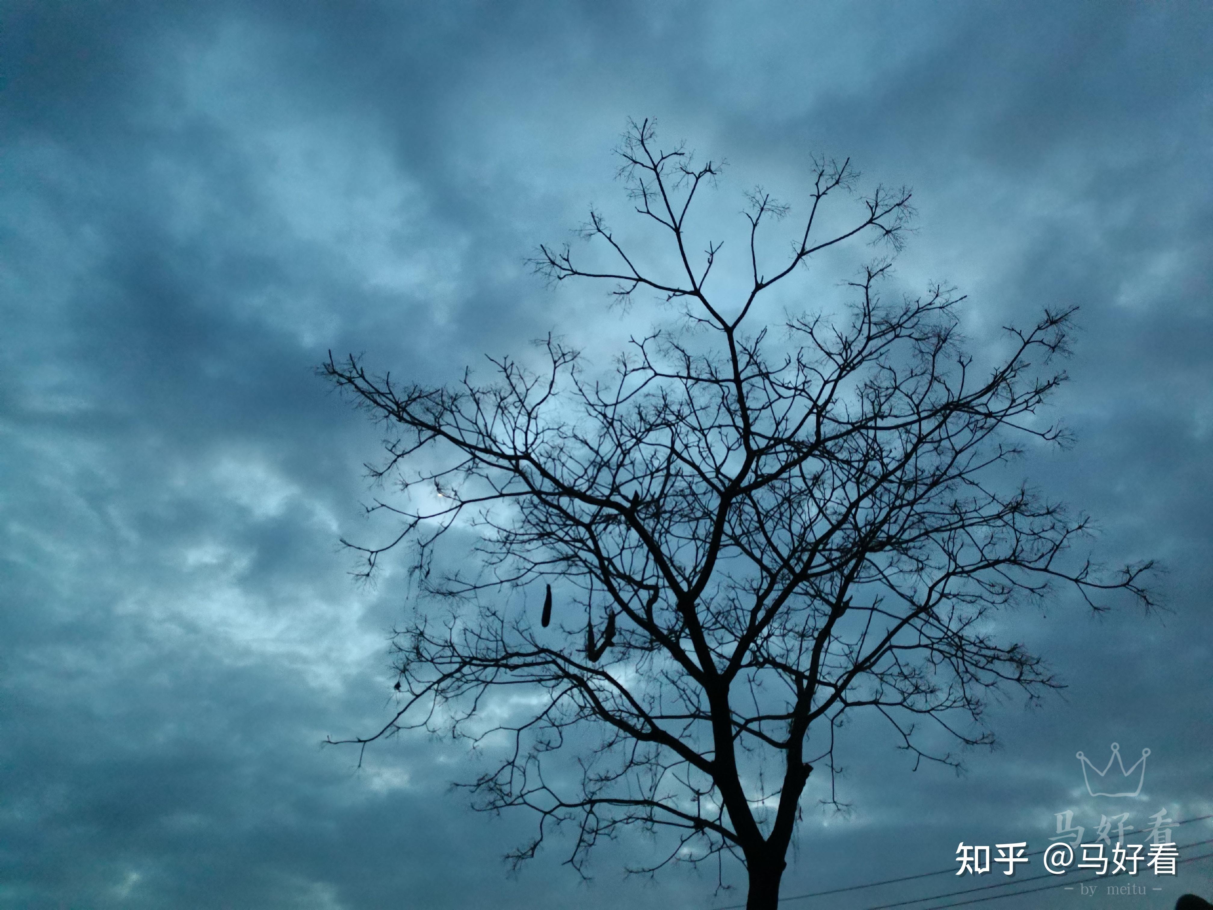 网易云热评文案