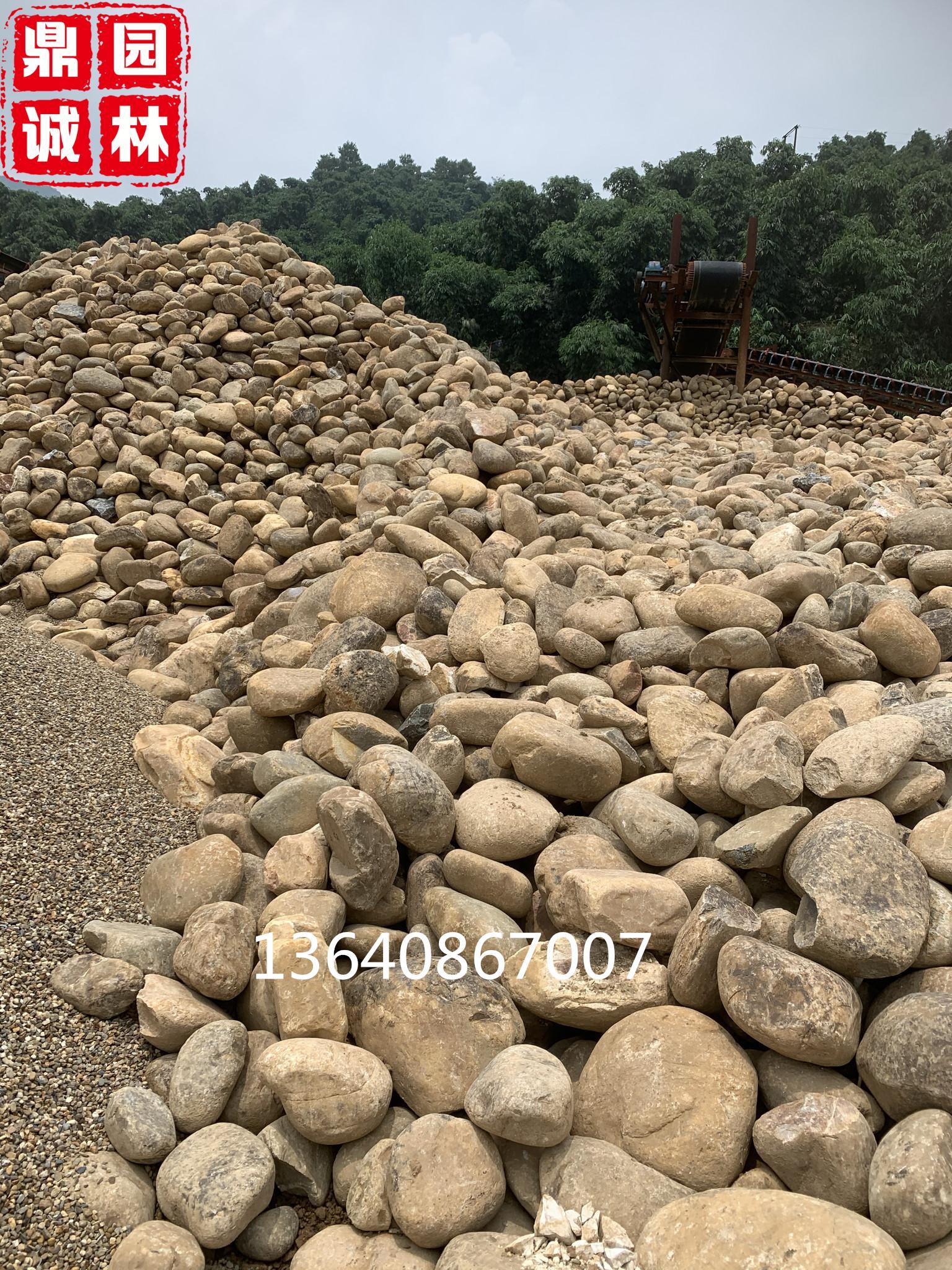 大号鹅卵石堆场园林驳岸造景围边鹅卵石