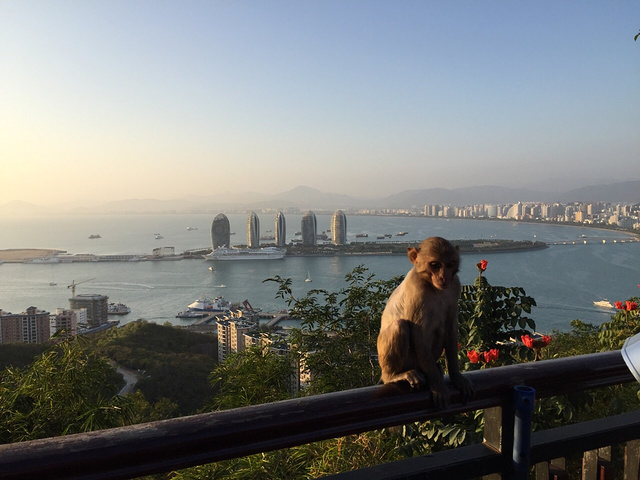 三亚旅游最全指南:三亚本地人良心建议攻略!快抄作业(美食+行程+住宿+防坑指南+建议)!!-“三亚旅游攻略”