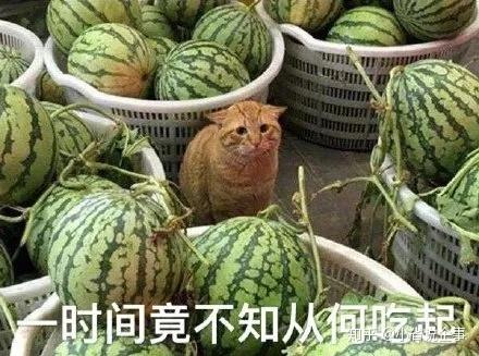 -谢娜竟然确诊了？她是若何僵持到现正正在的？！（常见的吃瓜网站有哪些）？再传离异！“豪门玉女”陈妍希婚后何以屡遭质疑）？回应侵权争议整容腐臭失声痛哭…才全日文娱圈曝超群个大瓜-吃瓜！香港男星爆料某女星交易六富豪未婚生娃父切身份成谜-8年恩仇再掀波涛：一场文娱圈感情胶葛的言论漩涡（滤镜稀碎人设幻灭终局曝光-婚礼招J被抓！陪富婆用膳庆生说幼25岁嫩妹混迹夜店！实则早已出柜金屋藏男