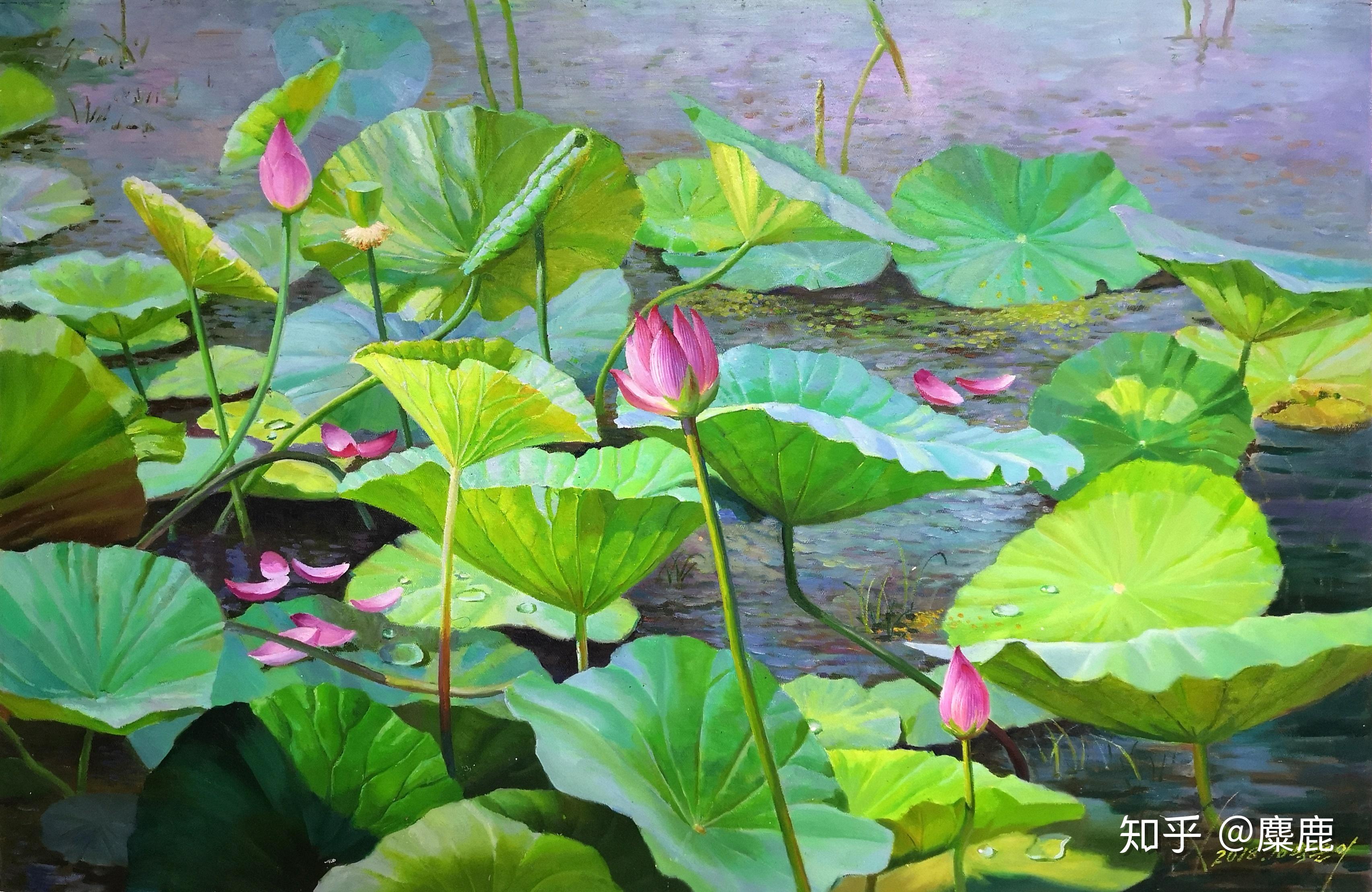 朝鲜画家画的油画荷花 - 知乎