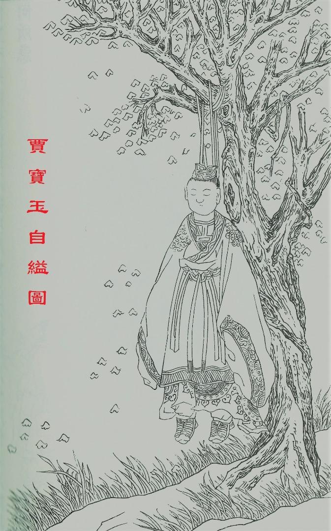 关于 紅樓驚夢 知乎