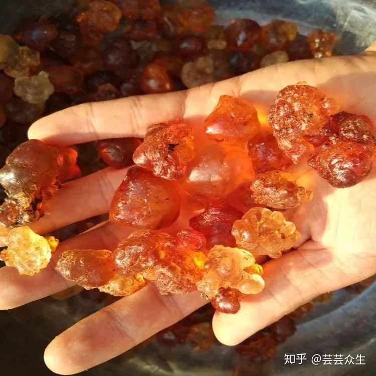桃胶的作用与功效?桃胶的吃法和禁忌! - 知乎