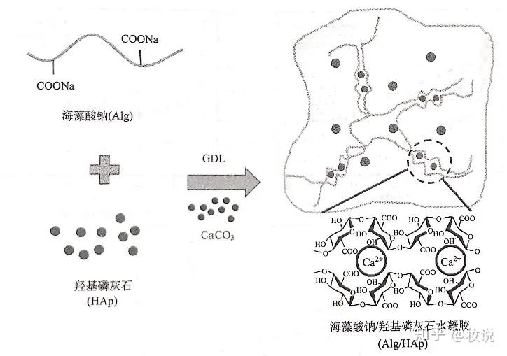 海藻酸钠易于二价阳离子如ca2 ,mg2 ,fe2 等交联形成水凝胶,属于离子