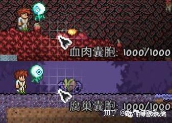 战士配装指南- Terraria灾厄Mod 1.4.5 (Rust and Dust)