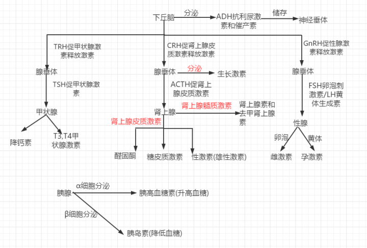 减脂增肌你需要知道的激素调节