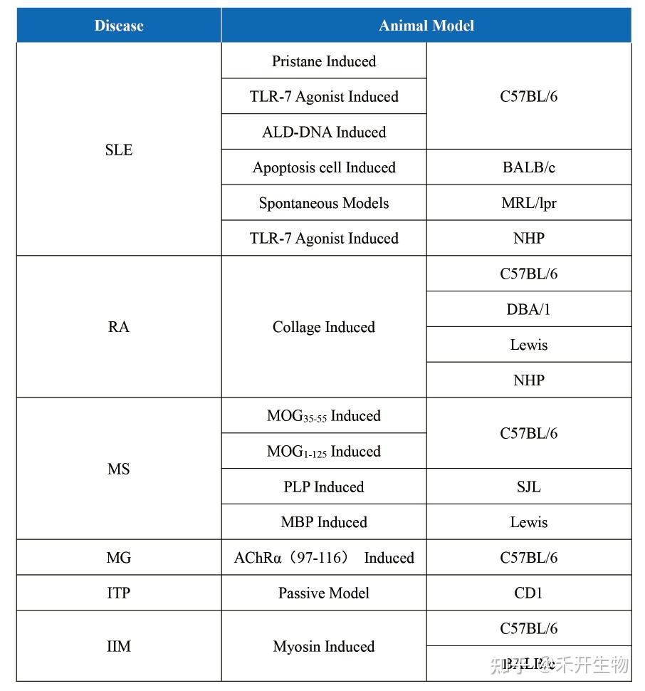 小禾说 | 自身免疫疾病靶点与模型系列(12)——FcRn为何成为免疫研究新焦点？ - 知乎