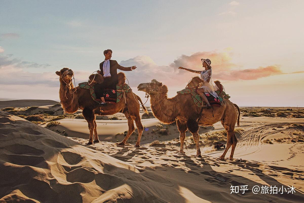 骑骆驼观沙海来一组骆驼与沙漠的爱恋