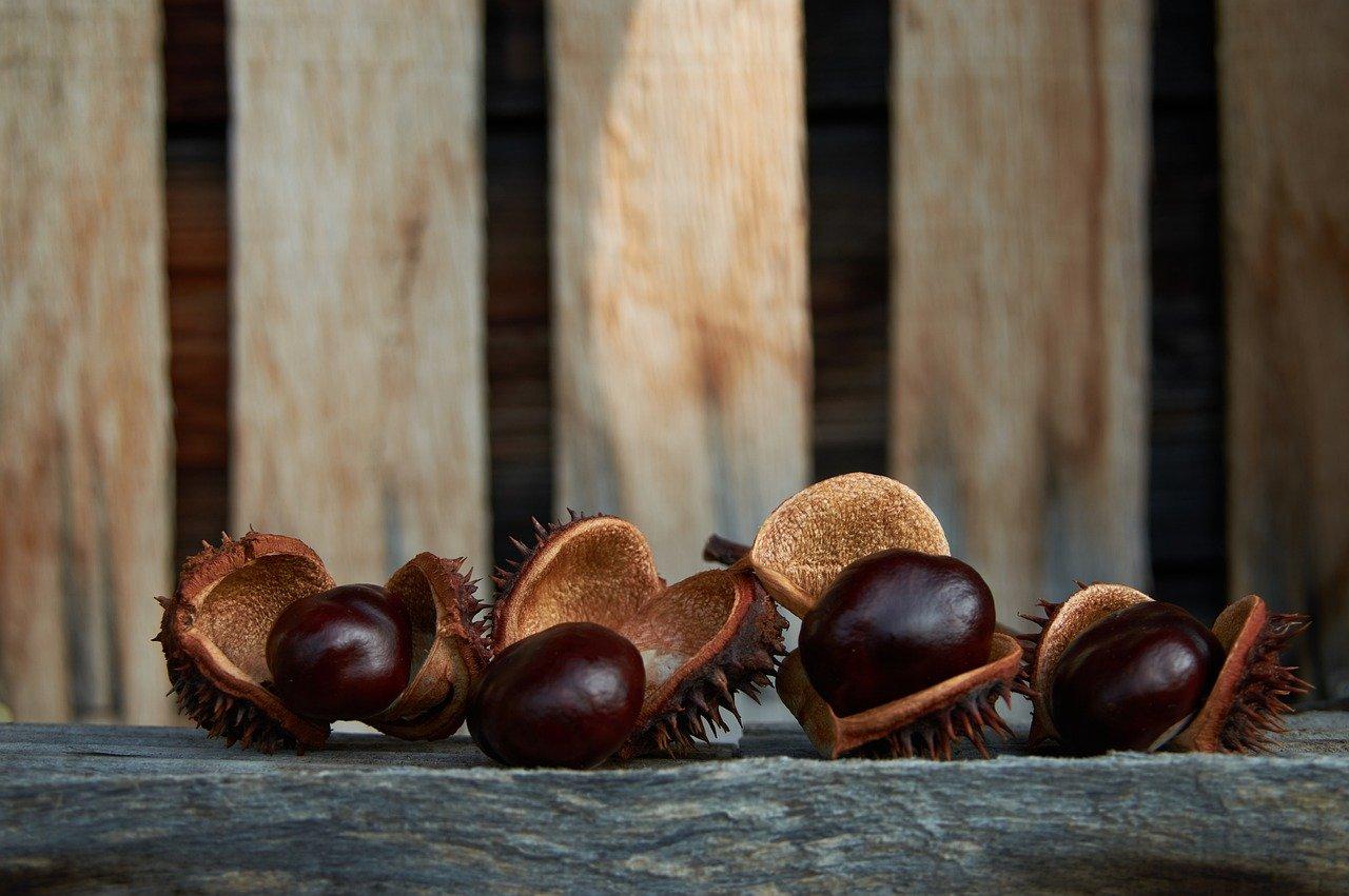 4. 颗数与寓意关联