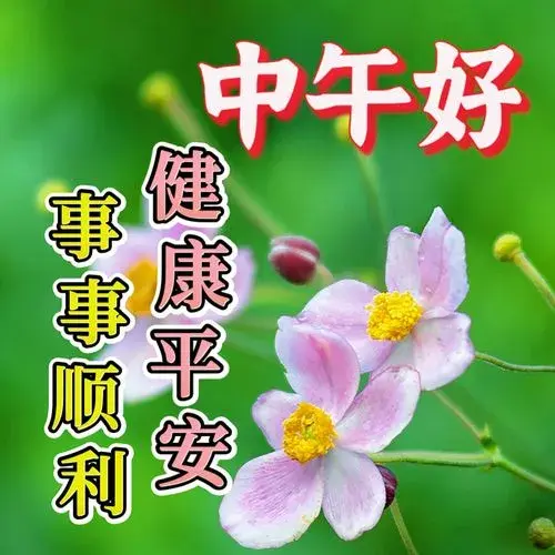 中午好图片，今日最新中午好图片大全，祝福美好 - 知乎