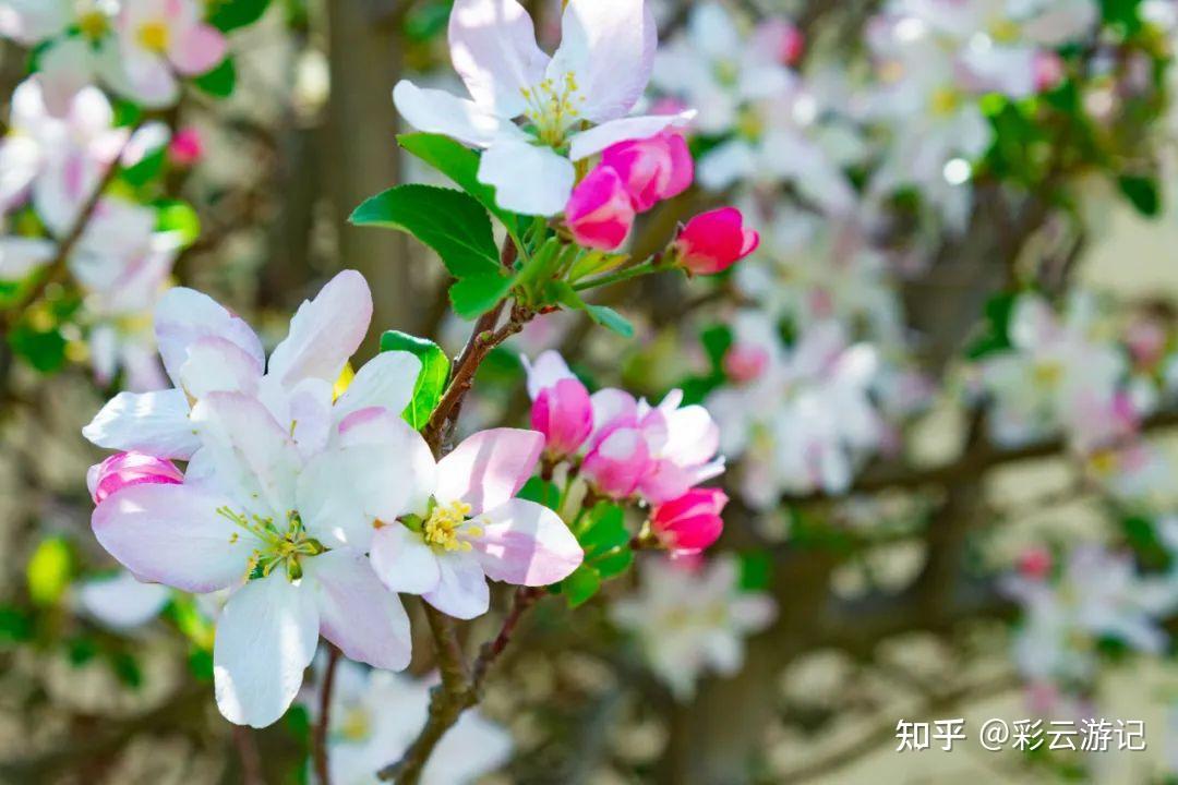 去云南大理,5 天行程,有哪些优质路线推荐?-去云南大理的攻略