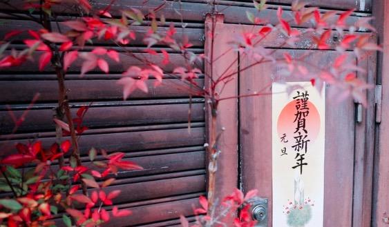非传统元日 知乎 非传统元日 知乎