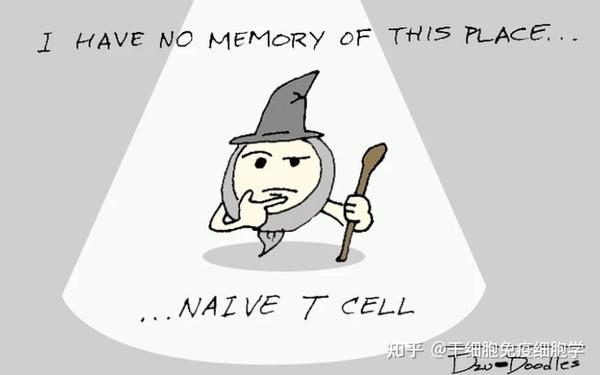 生动形象又可爱我们一起来认识这群萌萌哒免疫细胞