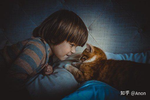 可怕的中世纪虐猫史——喵星人的至暗时代,铲屎官慎入 - 知乎
