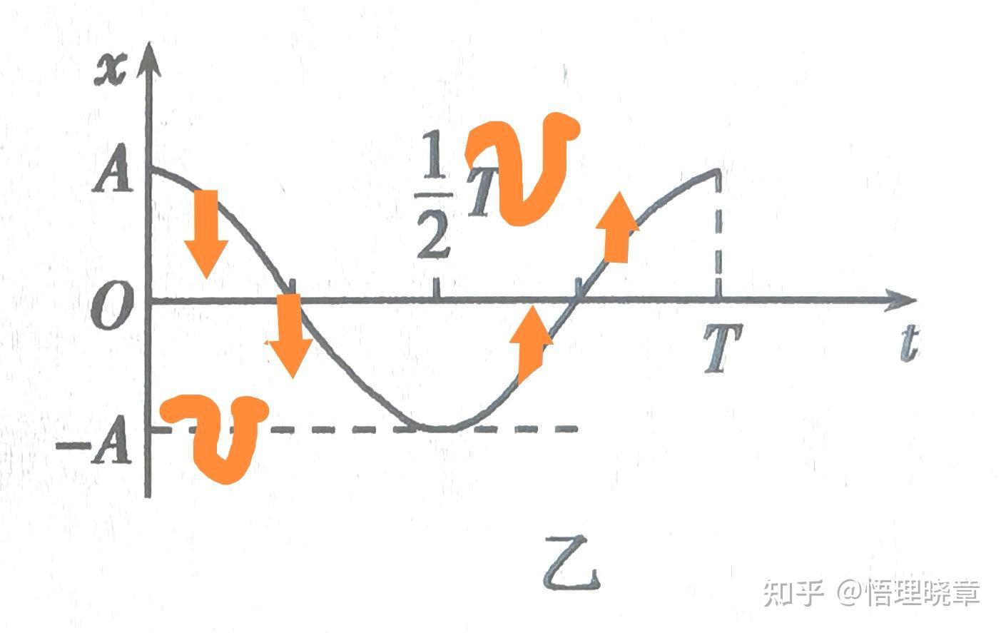 物理振动图像中速度和加速度方向如何判断?