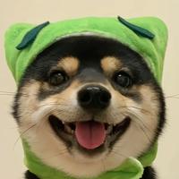 Zhihu profile picture for @priyanka