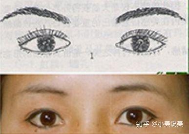 8种眼睛形状,你是哪一种?快来对号入座 - 知乎