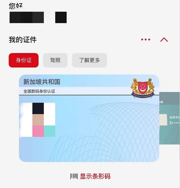手把手教你如何办理新加坡电子版准证下载与查验 知乎