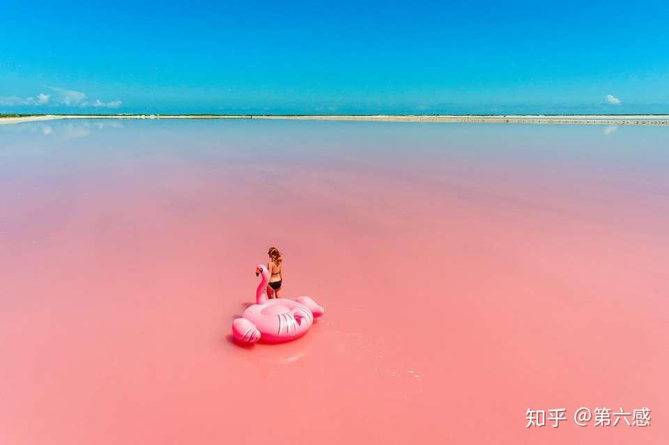 粉红色 赫特泻湖(澳大利亚)为什么生活在舍夫沙万的居民,会不约而