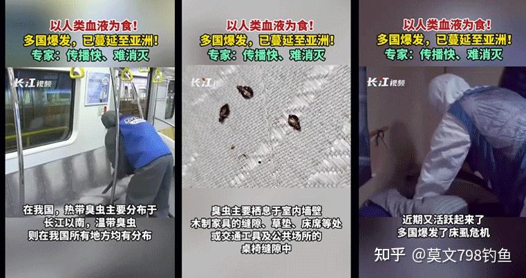 2026除螨仪选购攻略 | 除螨仪实测分享！家用除螨仪哪款性价比高？养宠/过敏党必看：希亦/友望/美的/小狗等主流热门除螨仪机型对比，吸力、拍打、杀菌、防缠全解析，紫外线除螨仪真的能除螨吗？实测分享～