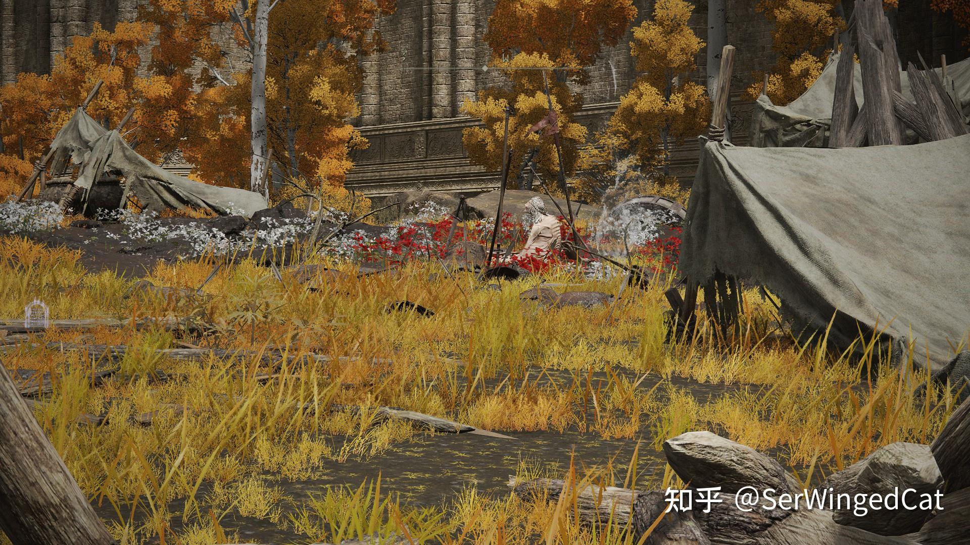 【艾尔登法环系列】黑刀之夜 - 知乎