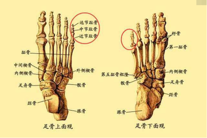 知乎
