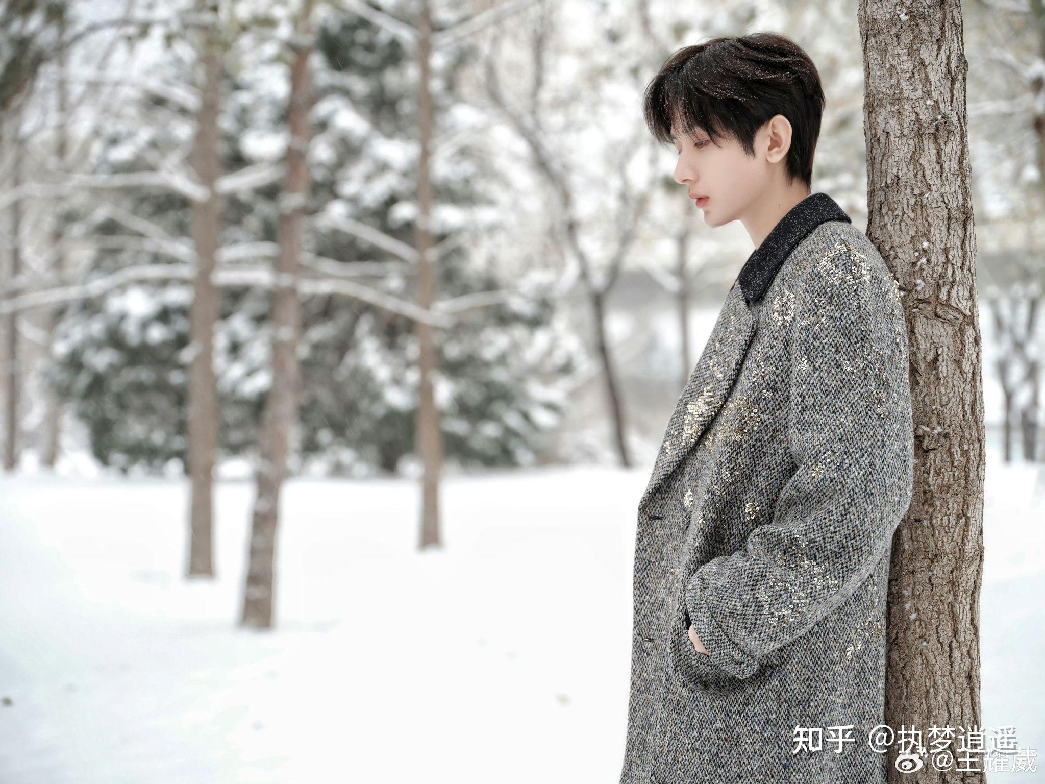 更新成毅动态大小瓜看个热闹